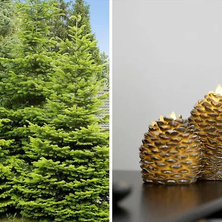 0660-toftlund-vestskoven-8 Casa de Férias