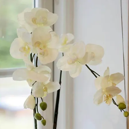 Casa de Férias 0660-toftlund-vestskoven-8 Toftlund