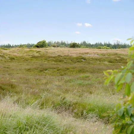 0660-toftlund-vestskoven-8 *